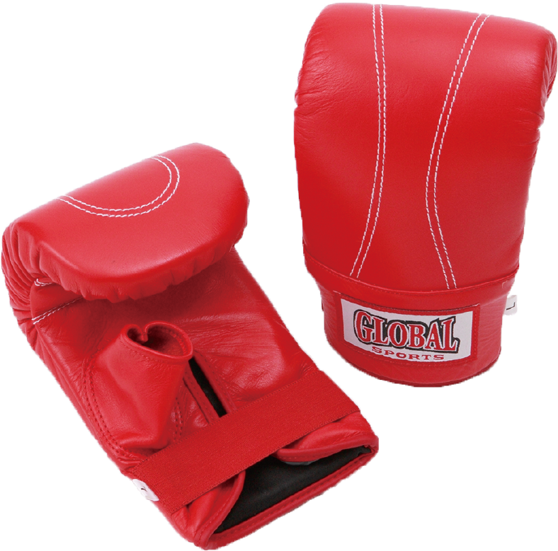 Punching Glove｜グローバル・スポーツ・ニシャト